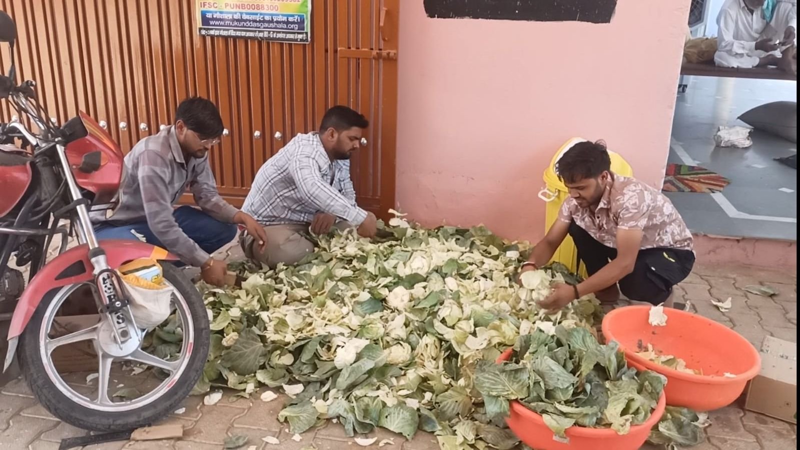 युवाओं की अनूठी पहल: फिजूलखर्ची छोड़ गौशाला में गायों को गुड़ चारा खिलाकर मनाया जन्मदिन